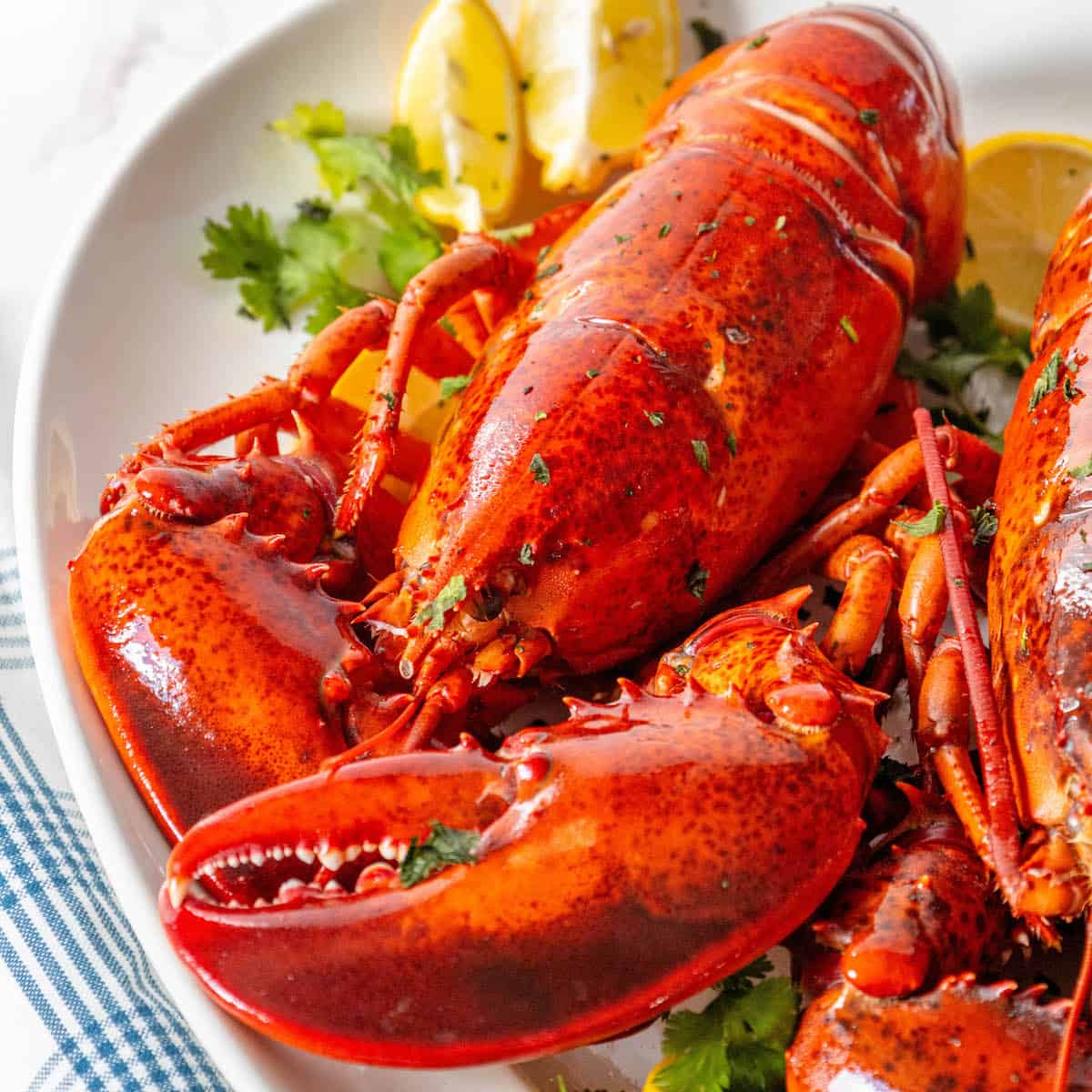 Lobster