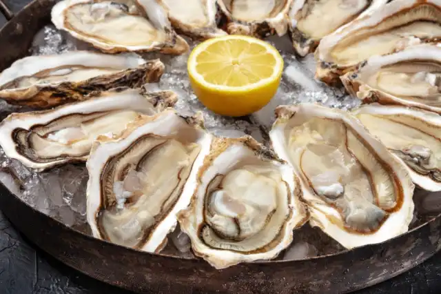 Raw bar